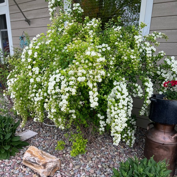 Meet your Posher, Karen - Picture 1 of 1